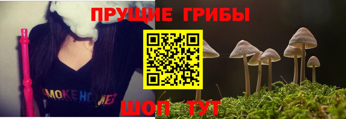Галлюциногенные грибы Magic Shrooms Братск